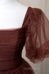 Brown Tulle Floor Length Evening Prom Dresses, A-Line Short Sleeve Evening Party Dresses