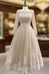 Champagne Tulle Long Sleeve Backless Appliques Evening Prom Dresses