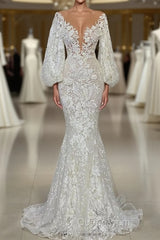 Elegant Long Mermaid V-neck Tulle Lace Wedding Dresses with Sleeves