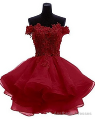 Cute Organza Short with Lace Applique Party Dresses