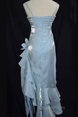 Retro Baby Blue Vintage Floral Dresses Asymmetrical Hem Evening Prom Gown