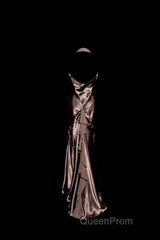 Retro Mermaid V Neckline Chiffon Brown Evening Dresses Evening Prom Dresses