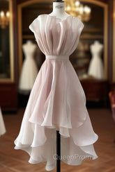 Vintage A-Line Organza Pink Homecoming Dresses 18Th Birthday Outfits