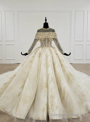 Champagne Ball Gown Tulle Lace High Neck Long Sleeve Backless Wedding Dressackless Wedding Dress