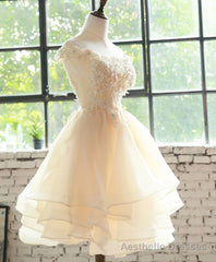 Champagne Lace Tulle Short Prom Dress, Homecoming Dress