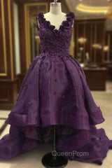 Elegant Purple Deep V Neck Appliqued Floral Short Front Long Back High Low Evening Prom Dresses