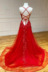 Red Long Evening Prom Dresses Chic & Modern Lace Applique Straps Formal Dresses